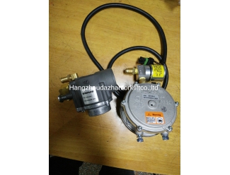 LPG  Filter lock-regulator assy